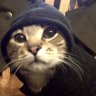 Umka_Merryweather