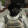 Satoshizxzx