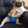 Bapcyk