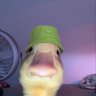 lewis@in@you