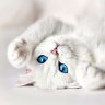 9I_OnLiNe