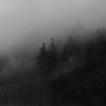 Nekit_Kamyshkin