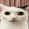 iwannacry