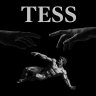 Tess_Grotti