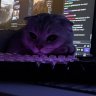 Aki_Main
