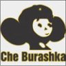 PashaPeert