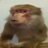 Roman_Kveyt