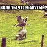 Milexulka