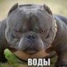 Ken_Yager