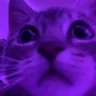 Ezitonix