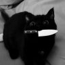 Blake Addams