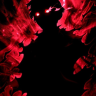 Aeculus