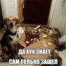 Naisis