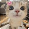 Dimka_Fox