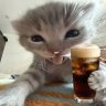 ADstalker