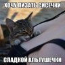 Gin Ichimarov