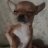 Egor_Fadeev