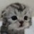 Yuki Meow