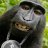 Michael_Swango
