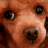 max_minka