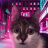 BoB_Mayskiy