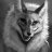 Matthew_Matson