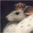 Forum_Rat