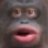 SYBYR