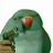 maxingem