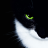 Artem_Mamura