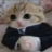 9roka_Ge