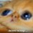 Stankov