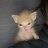 Vitaliy_Shvec