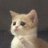 Victor_Lomakin