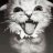 1337AiG_TV1337