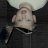 Galato_Servalio