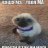 dril