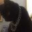Alpo_Martinez