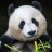 Todd_Daniels
