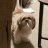 Anastasia_Tinkoff
