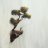 Lifer_33