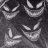 Alex_Raven