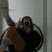 Navel_Laves