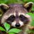 Richi_Hennsen