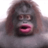 Benito_Reyez