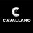 Tim Cavallaro