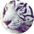 Thomas_Tig