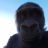 Tomas_Freecs