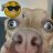 Marko_Prosen