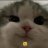 Msye